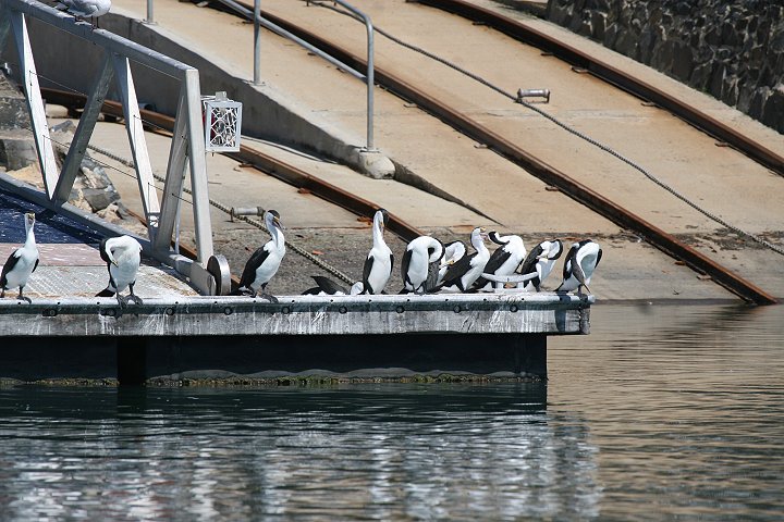 �}�~�W���E