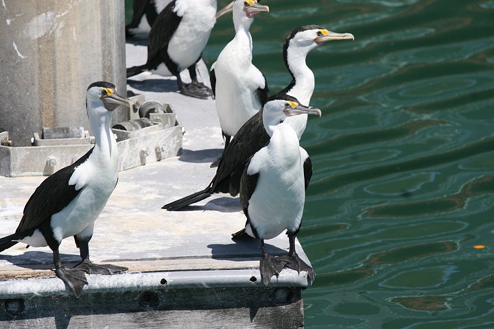 �}�~�W���E