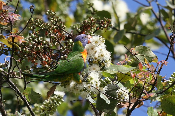 �S�V�L�Z�C�K�C�C���R