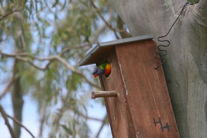 �S�V�L�Z�C�K�C�C���R