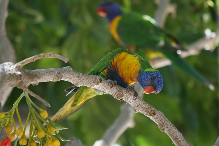 �S�V�L�Z�C�K�C�C���R