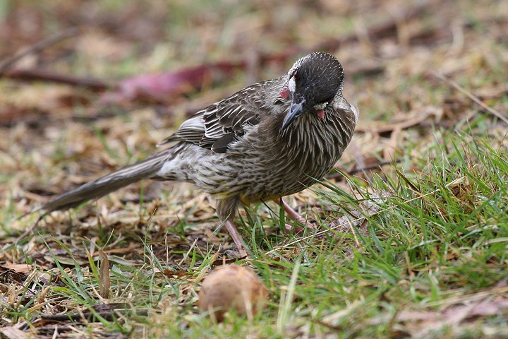 �A�J�~�~�_���~�c�X�C