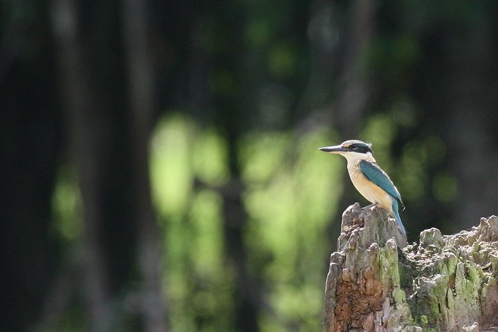 �q�W���V���E�r��