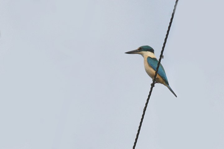 �q�W���V���E�r��