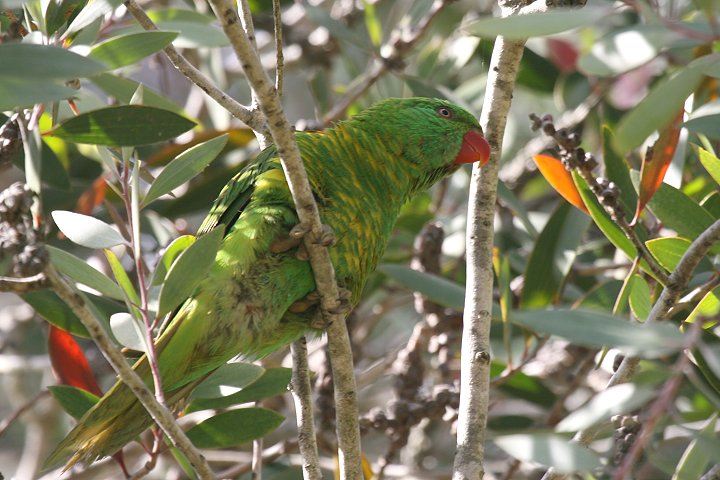 �R�Z�C�K�C�C���R