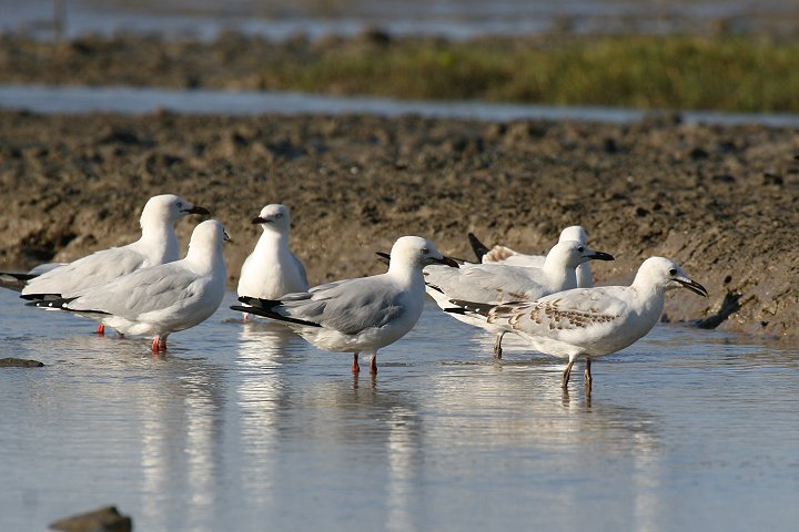 �M���J����