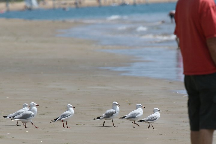 �M���J����