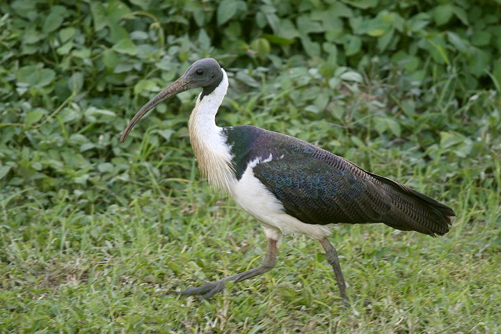 ���M�����g�L