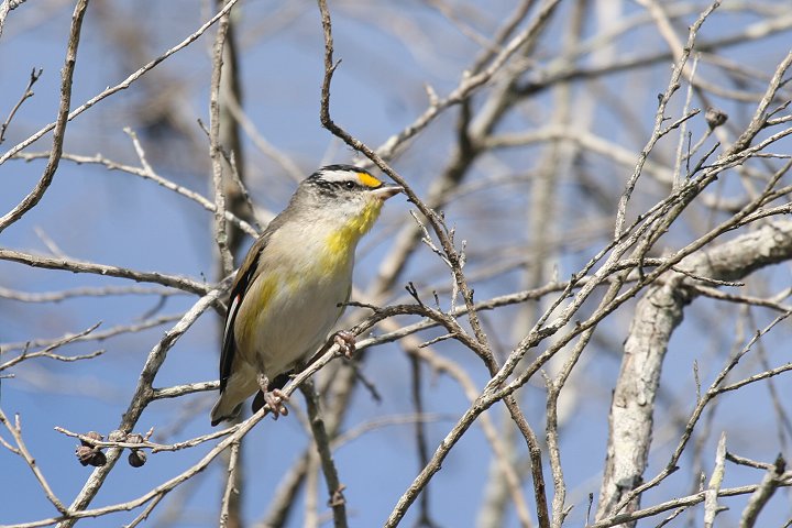 �L�{�V�z�E�Z�L�h��