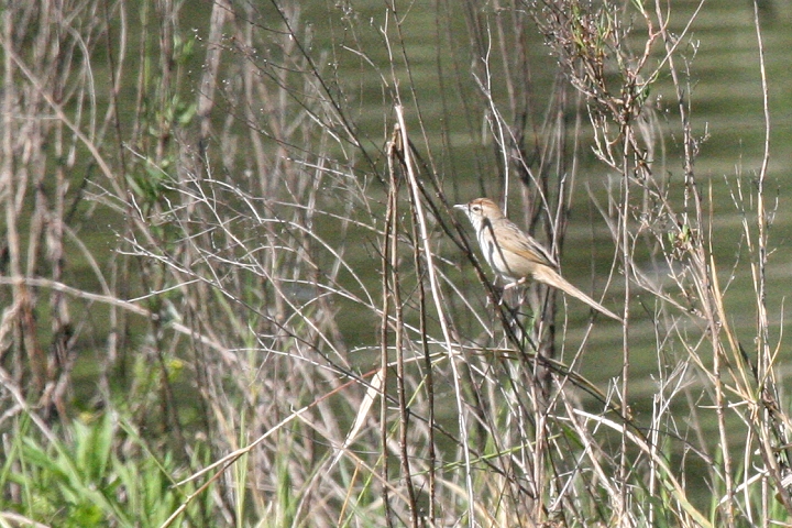 �Y�A�J�I�I�Z�b�J