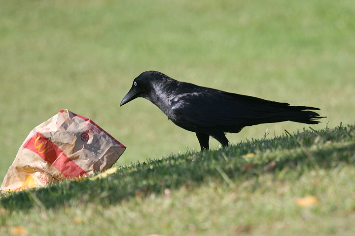 �~�i�~�K���X