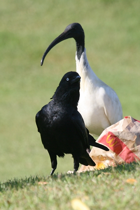 �~�i�~�K���X