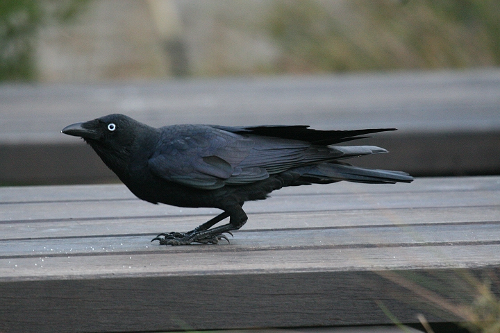 �~�i�~�K���X