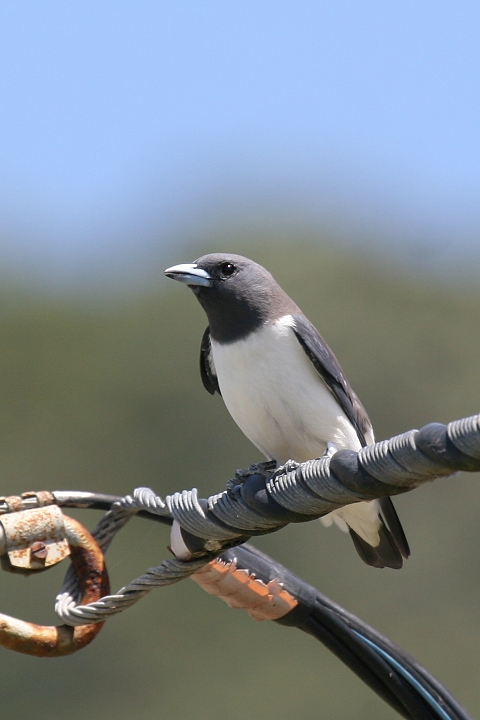 �����c�o��