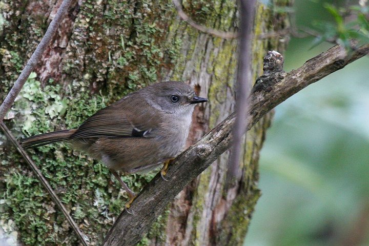 �}�~�W�����u���V�N�C