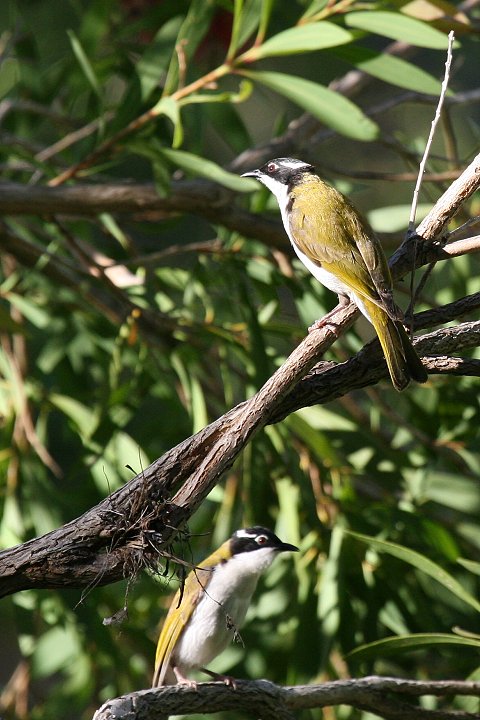 �m�h�W���n�`�}�L�~�c�X�C