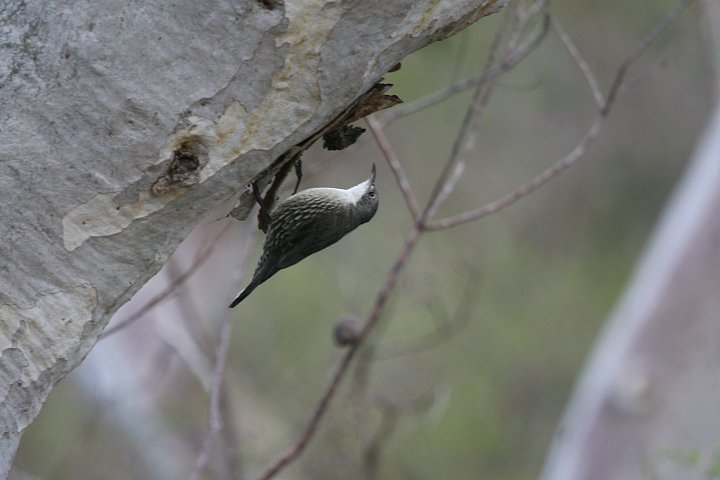 �m�h�W���L�m�{��