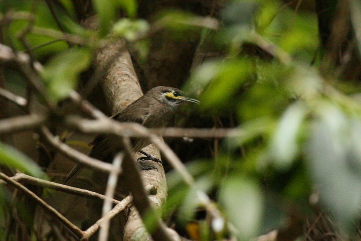 �L�z�I�R�o�V�~�c�X�C