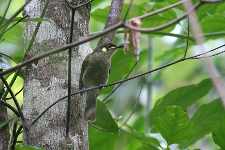 �R�L�~�~�~�c�X�C