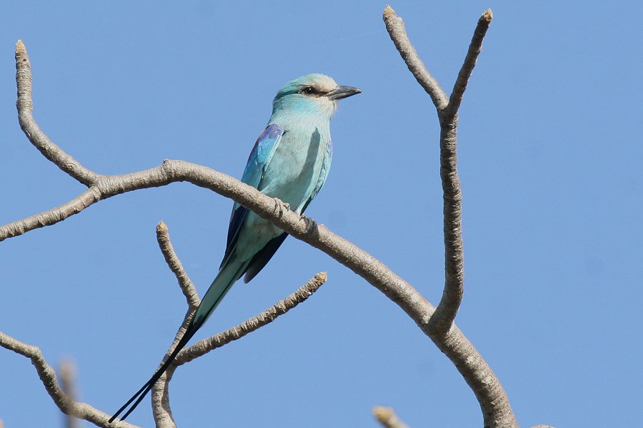 �I�i�K�j�V�u�b�|�E�\�E