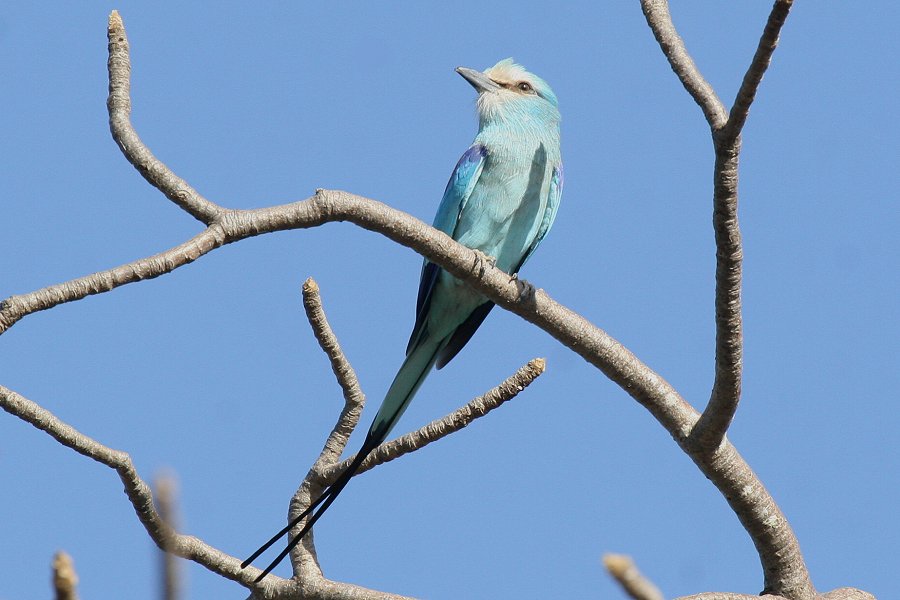 �I�i�K�j�V�u�b�|�E�\�E