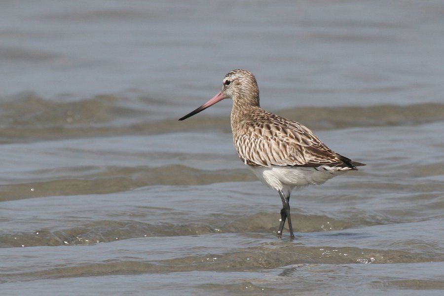 �\���n�V�V�M