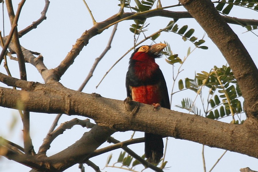 �q�Q�S�V�L�h��