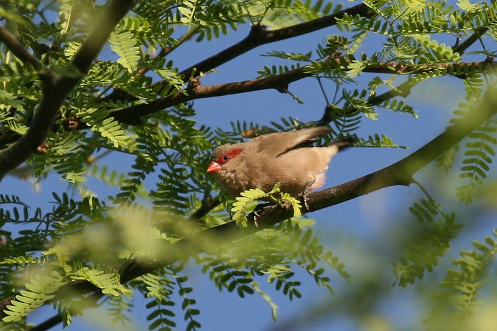 �J�G�f�`���E