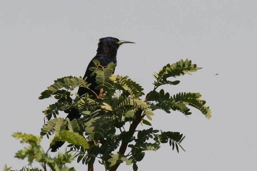 �N���������c�K�V��