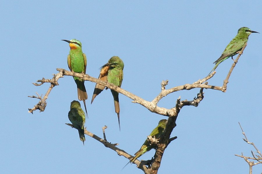 �����z�I�n�`�N�C