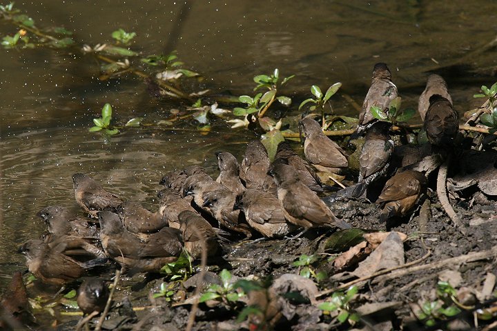 �n�S�����V�`�z�E