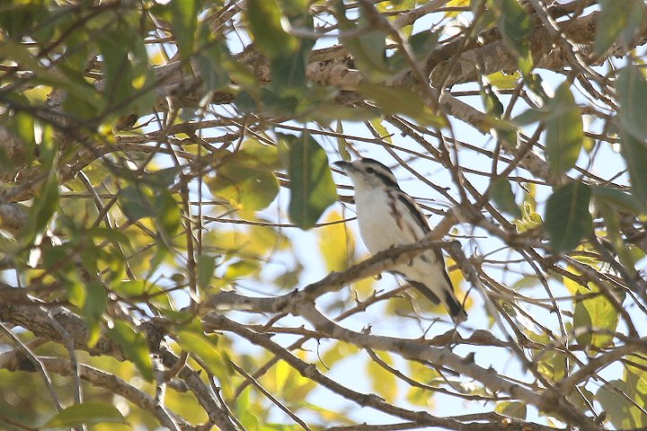 �q�����u���Y