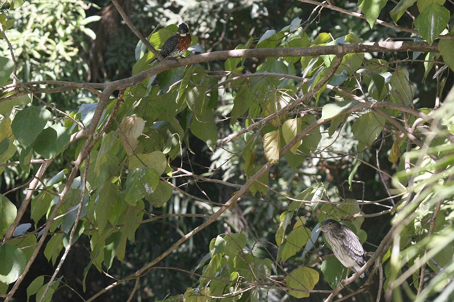 �I�j���}�Z�~