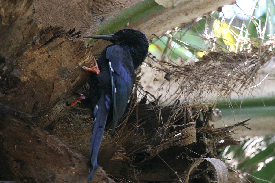 �~�h���������c�K�V��