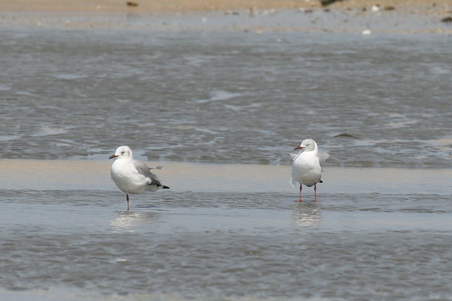 �Y�A�I�J����