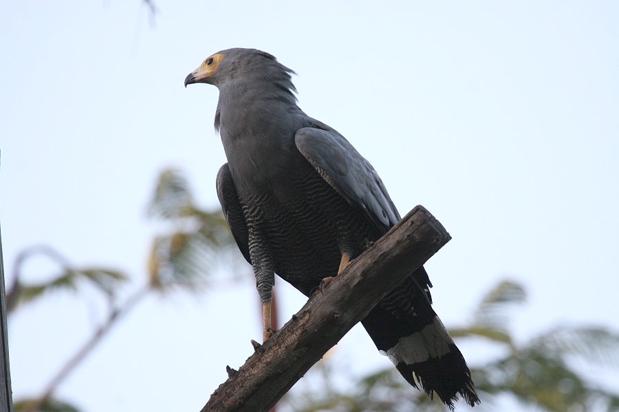 �`���E�q�_�J