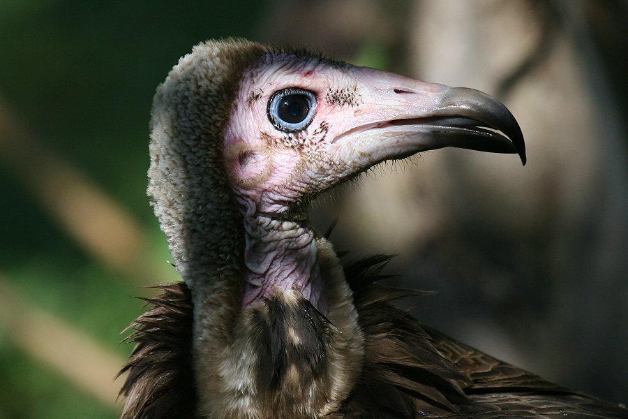 �Y�L���n�Q���V