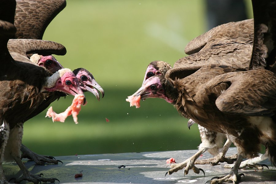 �Y�L���n�Q���V