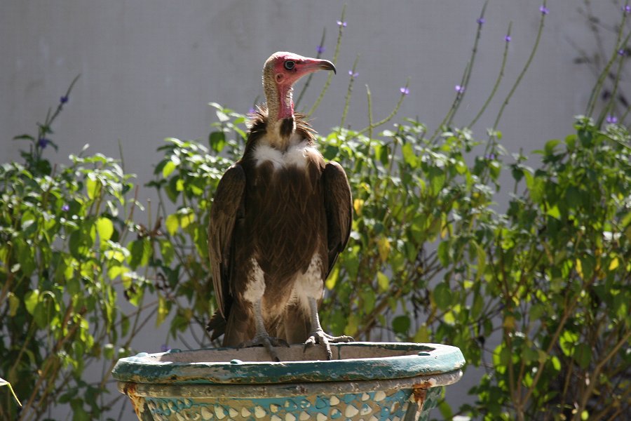 �Y�L���n�Q���V