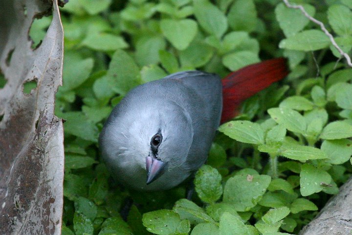 �A�T�M���`���E