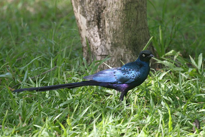 �I�i�K�e�����N