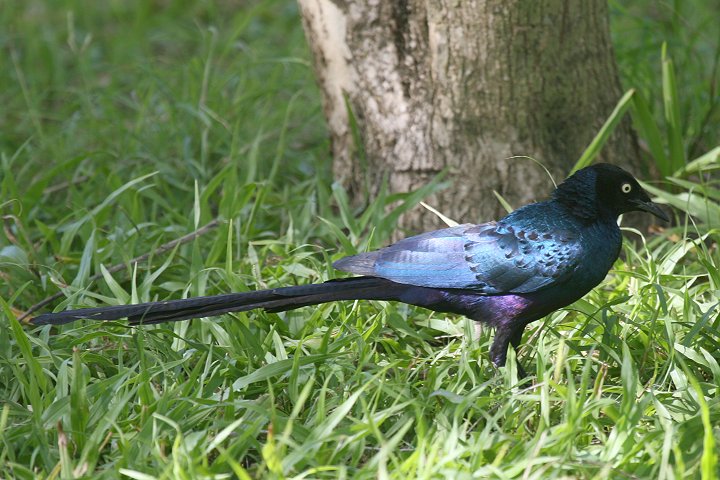 �I�i�K�e�����N