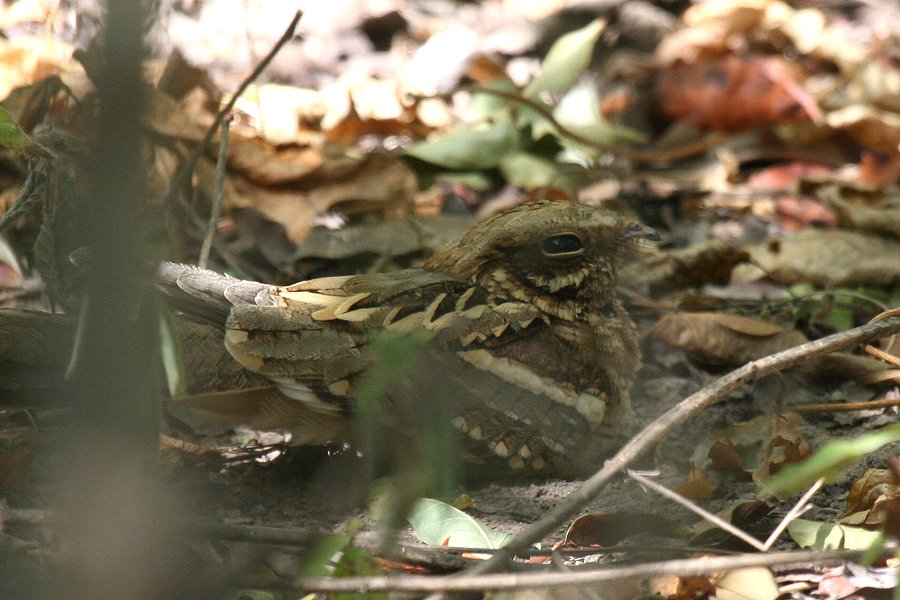 �I�i�K���^�J