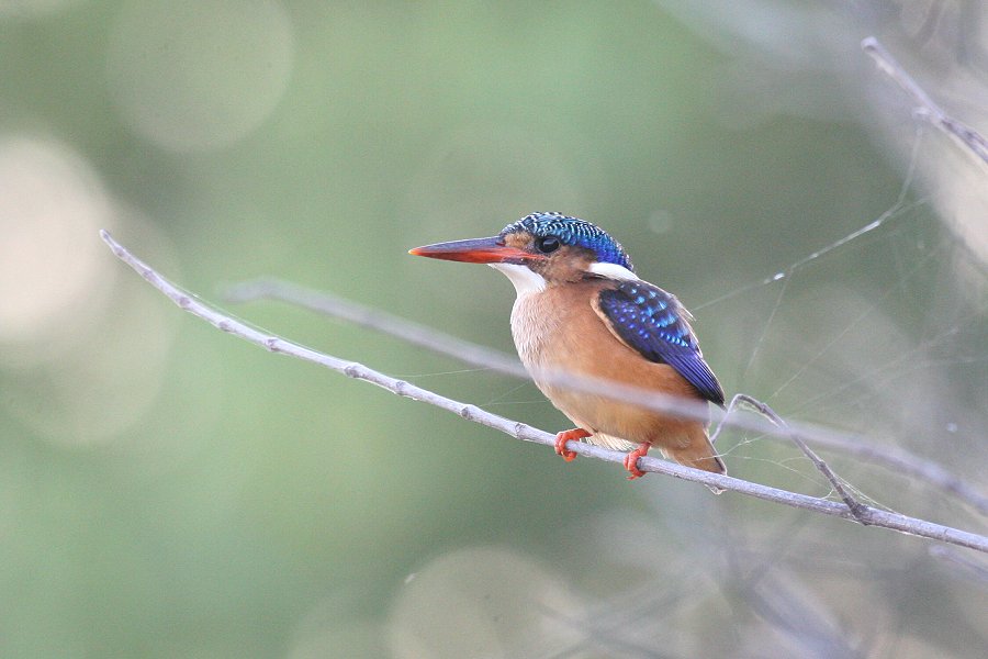 �J�������J���Z�~