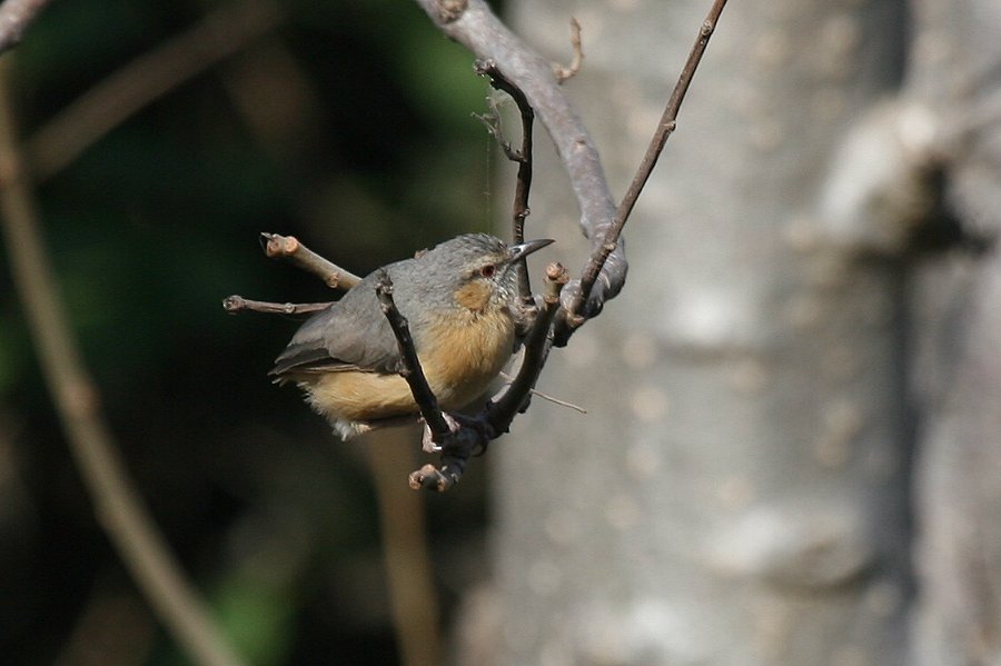 �`�r�I���V�N�C