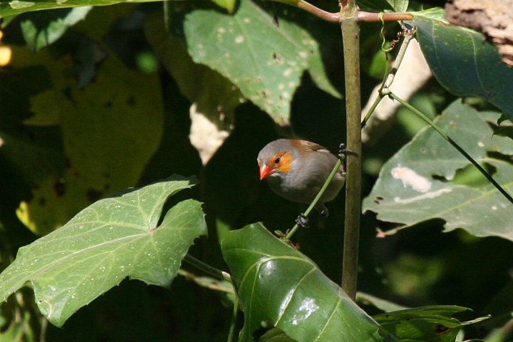 �z�E�R�E�`���E