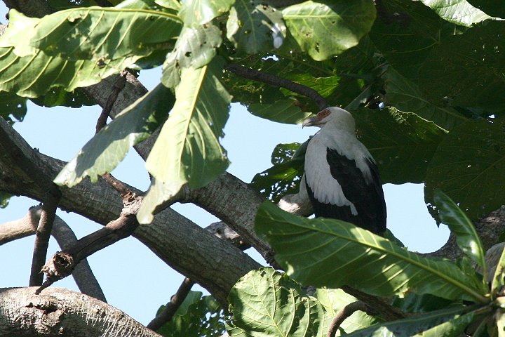 ���V�n�Q���V