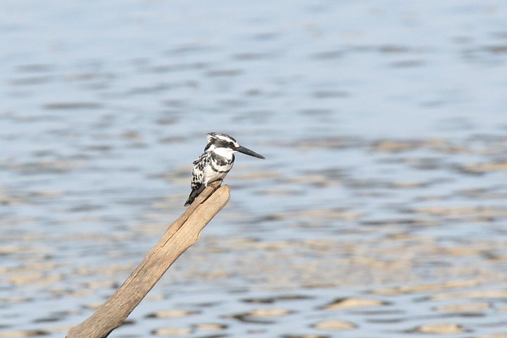 �q�����}�Z�~