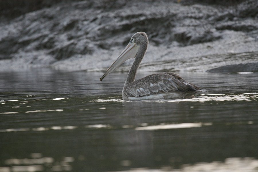 �R�V�x�j�y���J��