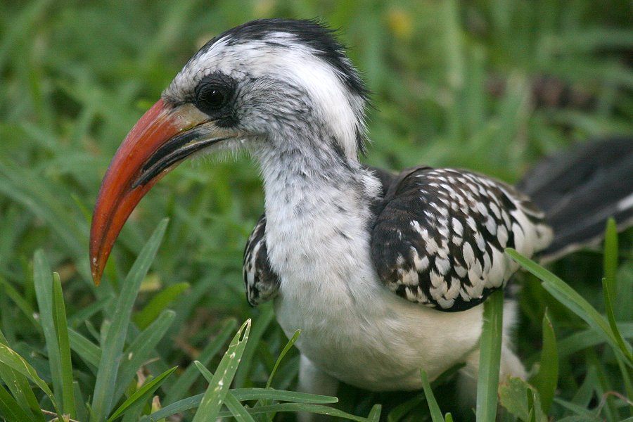 �A�J�n�V�R�T�C�`���E